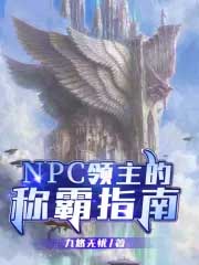 npc游戏领主